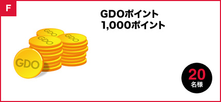 GDOポイント 1,000円分