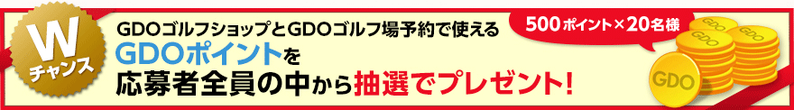 GDOポイントを応募者全員の中から抽選でプレゼント!