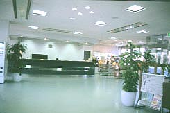 ハウス
