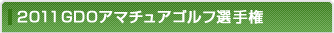 2011GDO�A�}�`���A�S���t�I�茠