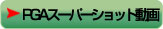 PGA�X�[�p�[�V���b�g�摜