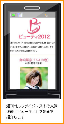 �r���[�e�B2012