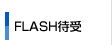 FLASH�Ҏ�