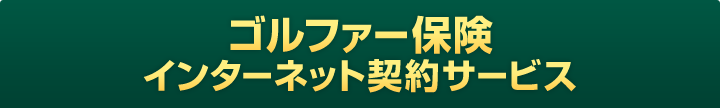 �S���t�@�[�ی��C���^�[�l�b�g�_��T�[�r�X