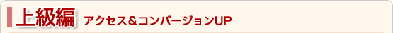 �㋉��-�A�N�Z�X���R���o�[�W����UP