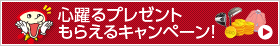プレゼント＆キャンペーン