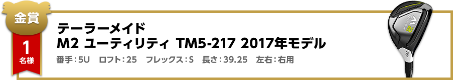 【金賞】1名 テーラーメイド M2 ユーティリティ TM5-217 2017年モデル