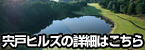 バナー