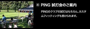 PING ŉ̂ē