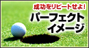 パーフェクトイメージ