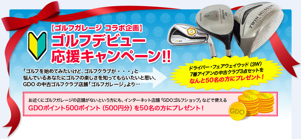 ゴルフセット 初心者応援 レディース テーラーメイド Mizuno
