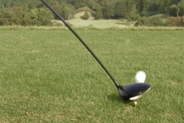 トウから見える要素