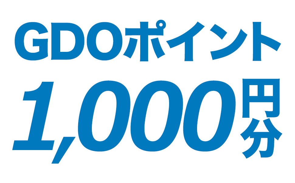 GDOポイント1000円分