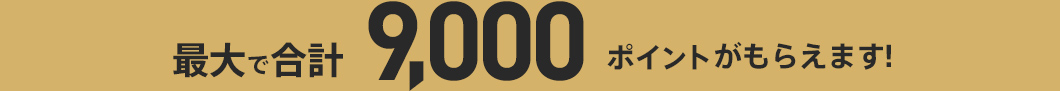 最大で9000ポイントがもらえます