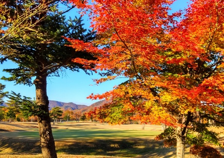 大玉カントリークラブ（福島県）の画像３