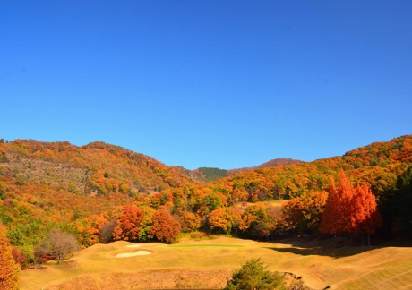  つつじヶ丘カントリー倶楽部（栃木県）の画像２