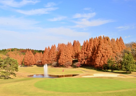  紫塚ゴルフ倶楽部（栃木県）の画像２
