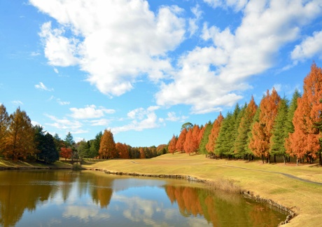  紫塚ゴルフ倶楽部（栃木県）の画像３