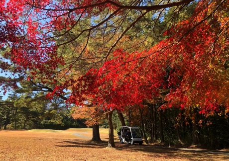 三重カンツリークラブ（三重県）の画像３