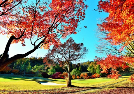 彦根カントリー倶楽部（滋賀県）の画像３
