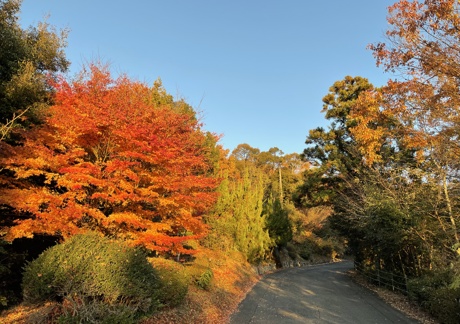 三田レークサイドカントリークラブ（兵庫県）の画像２