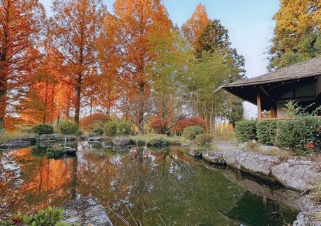 太宰府ゴルフ倶楽部（福岡県）の画像１
