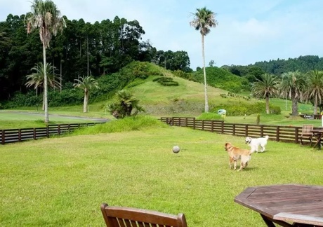キャメルゴルフ＆ホテルリゾート（千葉県）の画像１