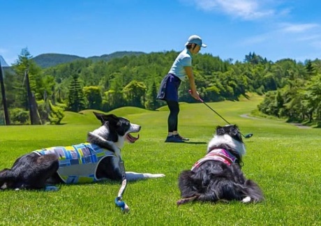 清里アーリーバードゴルフクラブ（長野県）の画像１