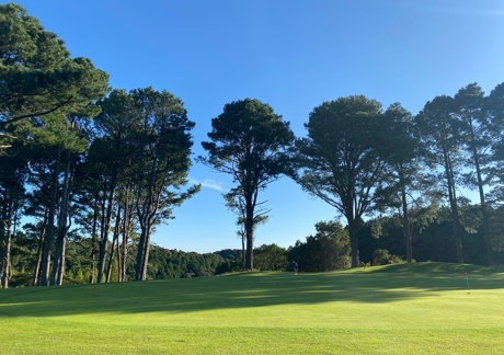 トライアルゴルフ＆リゾート WAKAMIYA COURSE（ﾜｶﾐﾔ）（福岡県）の画像２
