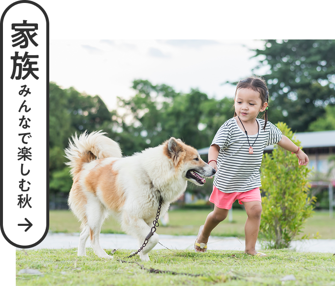 家族みんなで楽しむ秋