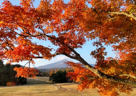大玉カントリークラブ（福島県）の画像１