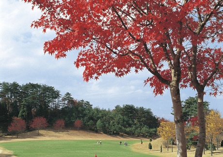 白河国際カントリークラブ（福島県）の画像３