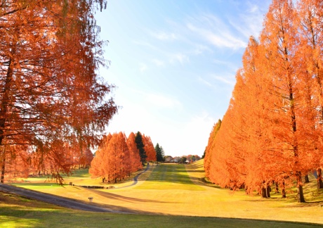  紫塚ゴルフ倶楽部（栃木県）の画像１