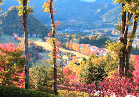 埼玉国際ゴルフ倶楽部（埼玉県）の画像３