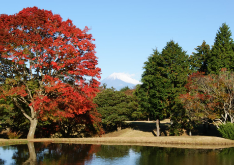 富士箱根カントリークラブ（静岡県）の画像２
