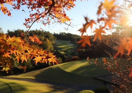 南山カントリークラブ（愛知県）の画像３