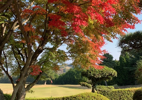高松カントリー倶楽部（香川県）の画像２