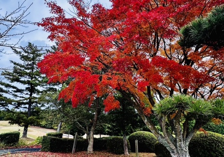 高松カントリー倶楽部（香川県）の画像３