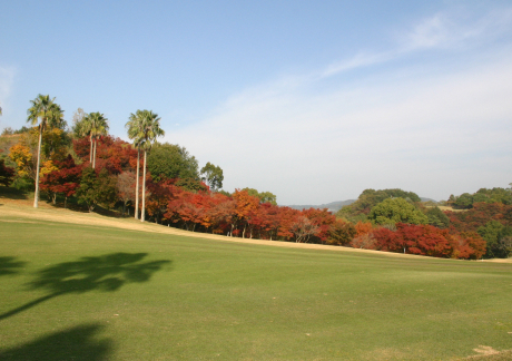 奥道後ゴルフクラブ（愛媛県）の画像１