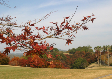 奥道後ゴルフクラブ（愛媛県）の画像２