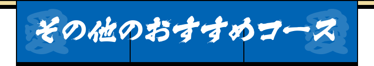 その他のおすすめコース