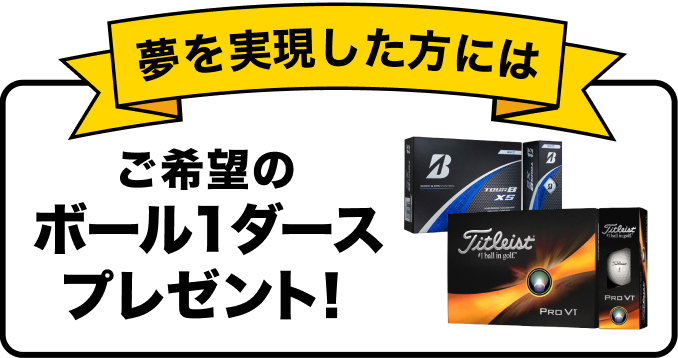 採用された方には ご希望のボール1ダースプレゼント！