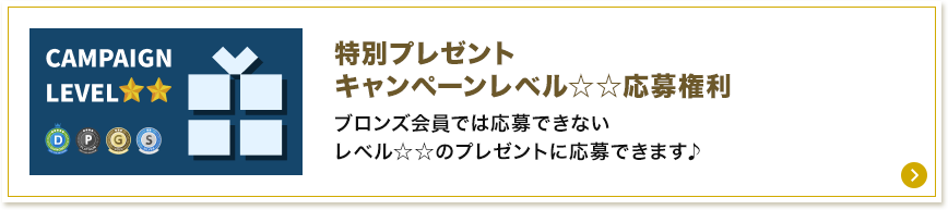 特別プレゼント キャンペーンレベル2☆☆応募権利