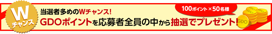 GDOポイント 100ポイント