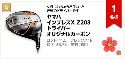 A：ヤマハ インプレスX Z203 ドライバー オリジナルカーボン TMX-513D　1名様