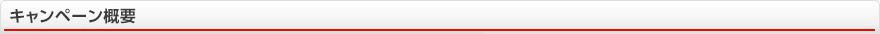 キャンペーン概要