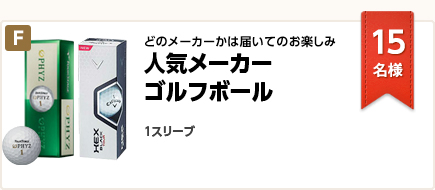 どのメーカーかは届いてのお楽しみ！ 人気メーカー ゴルフボール