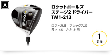 ナイキ VR_S アイアン(6本セット) NS PRO 950GH HT