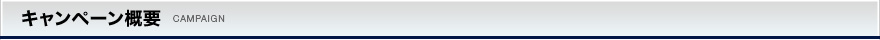 キャンペーン概要