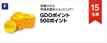 GDOポイント 500ポイント